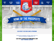 Tablet Screenshot of beachcitybaseballacademy.com
